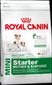  Royal Canin Mini Starter       2-,     8,5