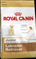  Royal Canin Labrador Retriever Junior 33    12