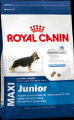  Royal Canin Maxi Junior     4